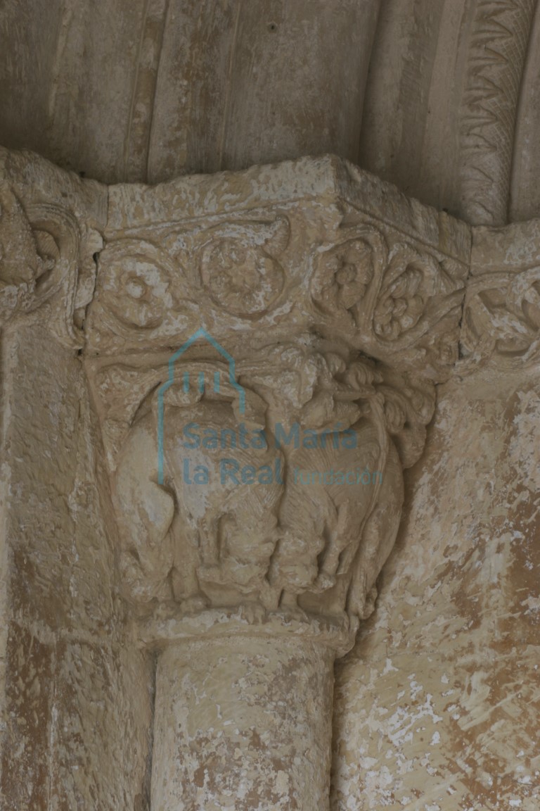 Capitel izquierdo que representan dos leones afrontados, en la portada meridional