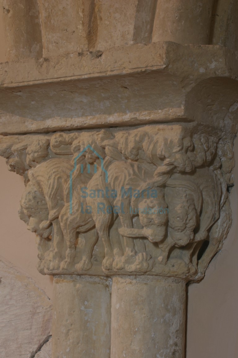 Capitel de la arquería del muro norte del presbiterio, con dos parejas de leones afrontados