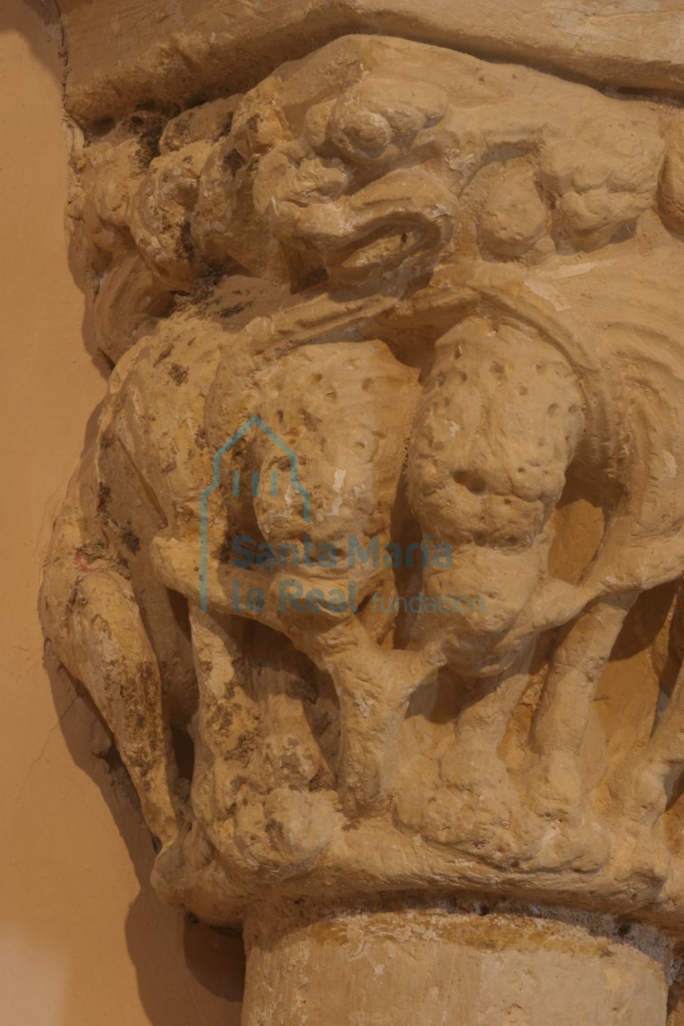 Detalle del capitel de la arquería del muro norte del  presbiterio, con dos parejas de leones afrontados