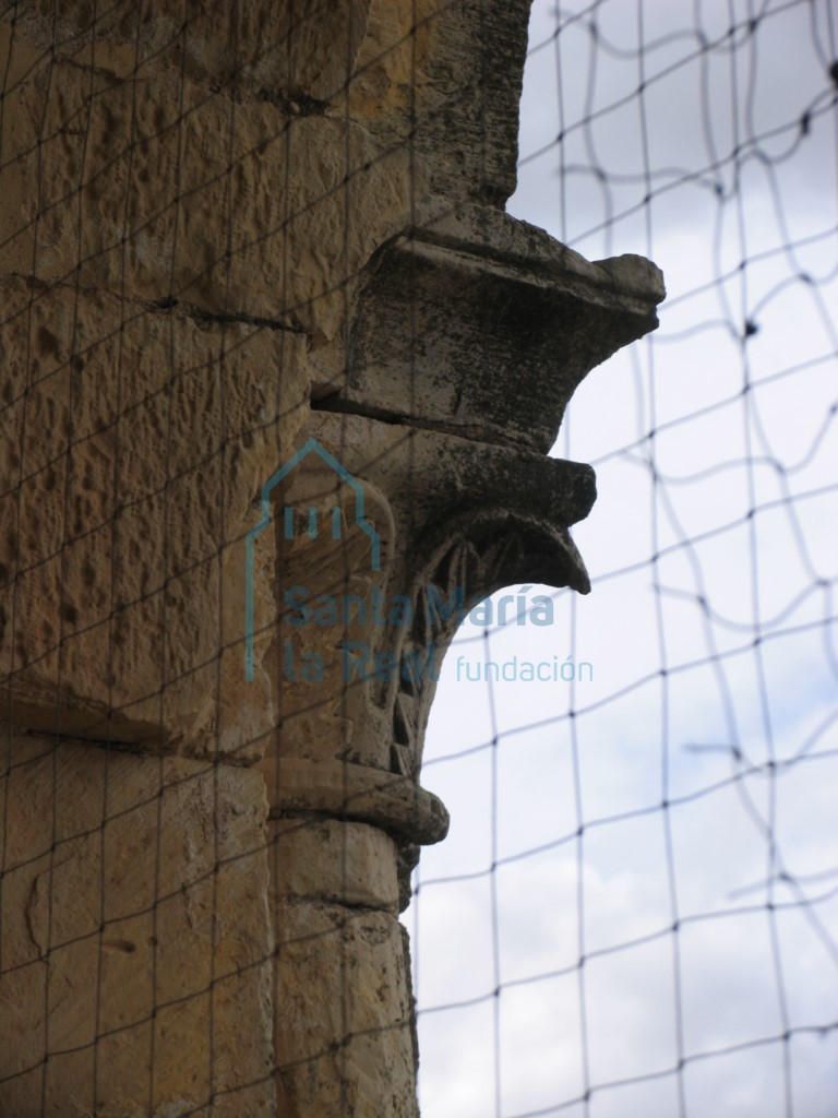 Capitel vegetal de una de las troneras del tercer piso de la torre Capitel vegetal de una de las troneras del tercer piso de la torre