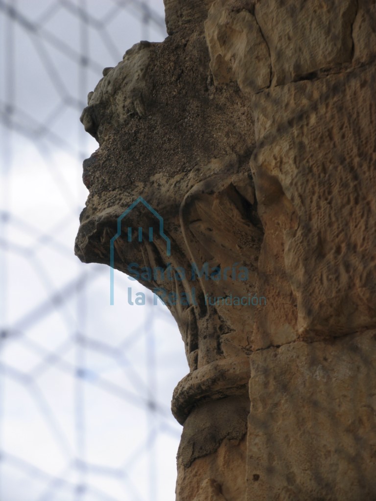 Capitel vegetal de una de las troneras del tercer piso de la torre