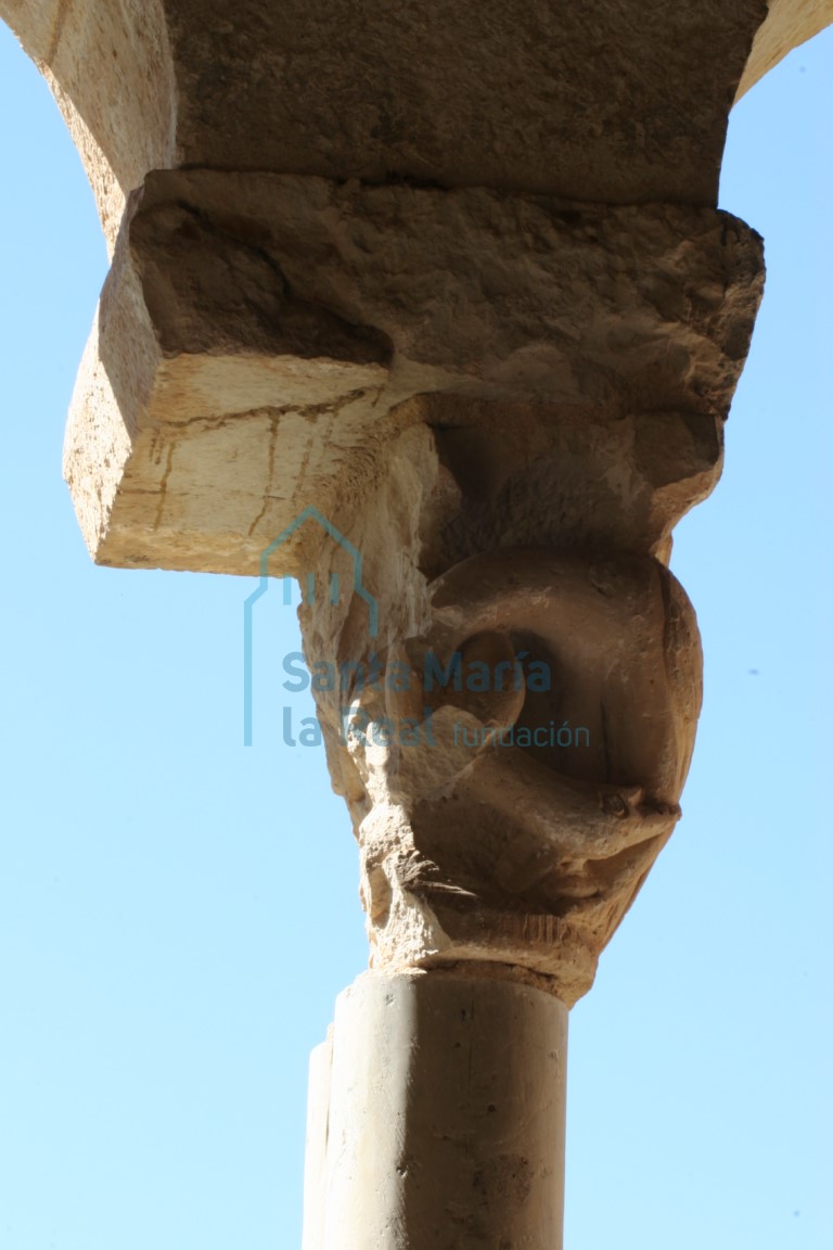 Capitel del pórtico. Pareja de aves