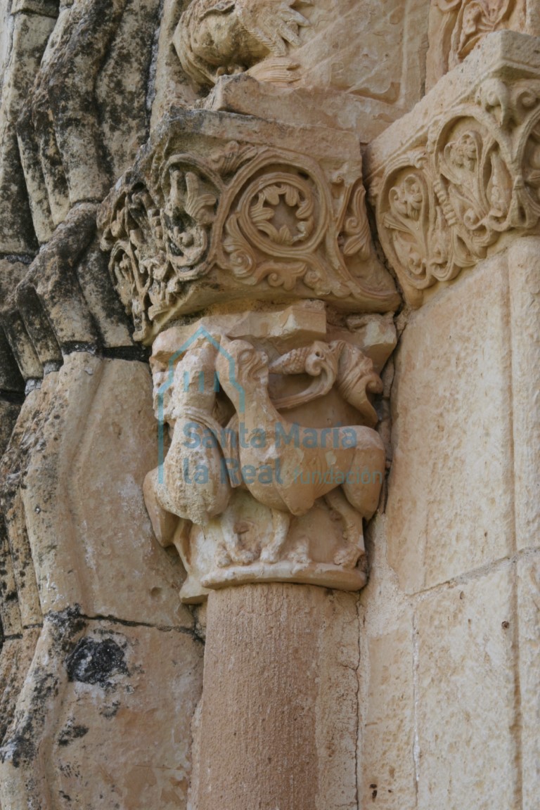 Capitel izquierdo representa una pareja de cuadrúpedos en  la portada occidental del pórtico