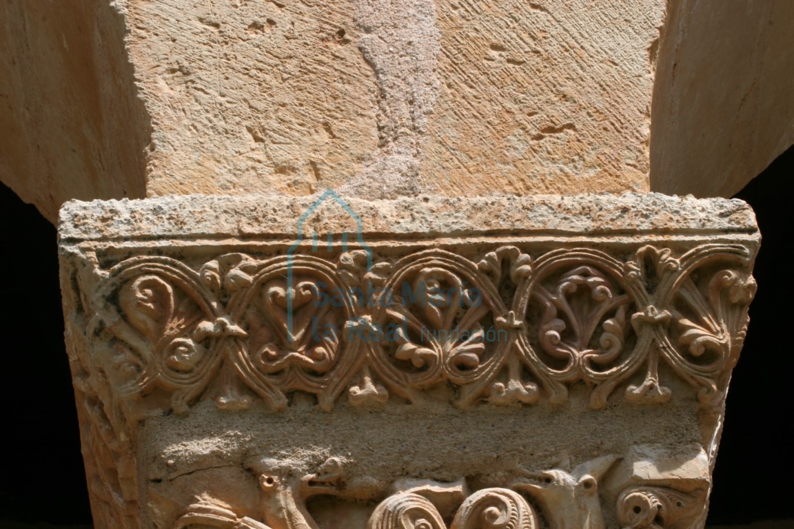 Cimacio vegetal entre círculos de un capitel del pórtico