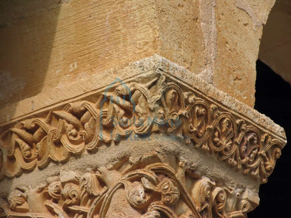 Capitel que representan animales híbridos y cimacio con decoración vegetal, en el pórtico