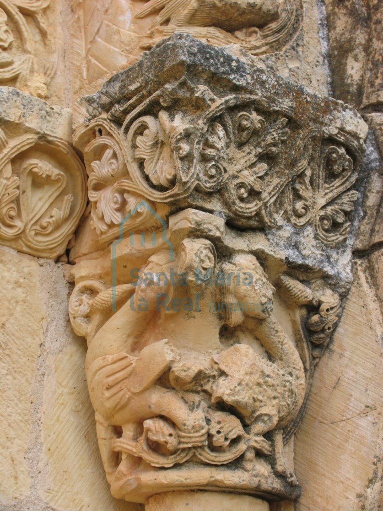 Capitel derecho con una pareja de arpías de la portada occidental