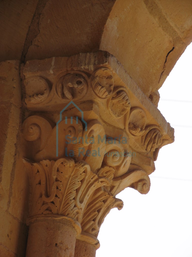 Capitel vegetal dipuesto en dos filas en el pórtico Capitel vegetal dipuesto en dos filas en el pórtico
