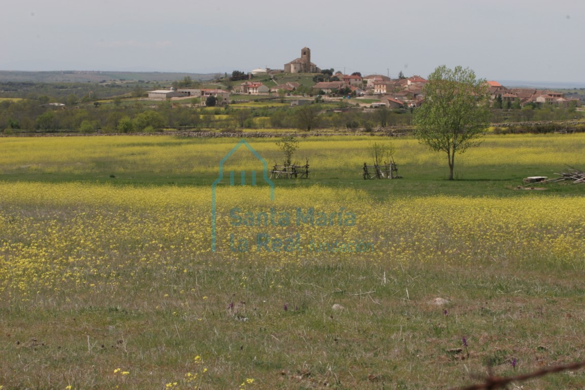 Panorámica de La Cuesta