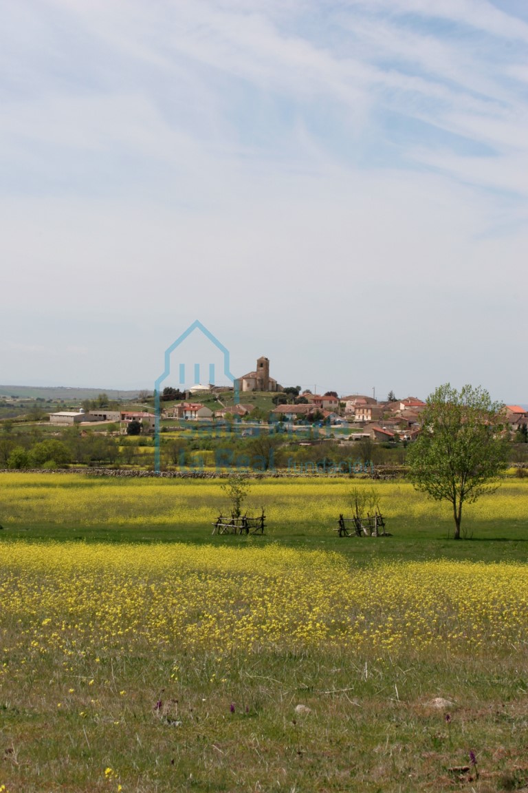 Panorámica de La Cuesta