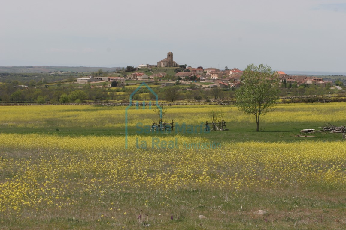 Panorámica de La Cuesta