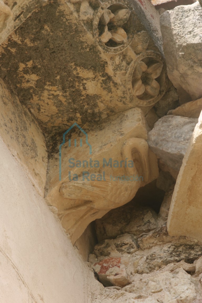 Canecillo de un ave en el ábside