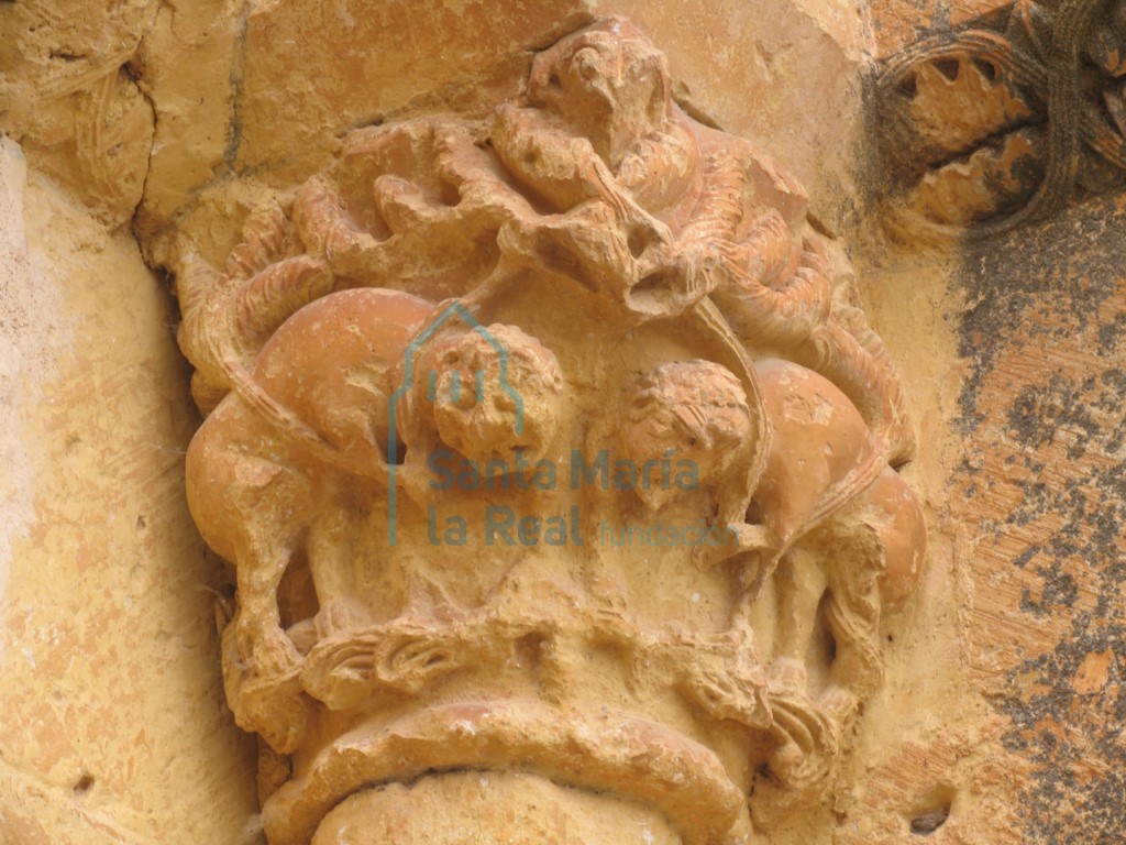 Detalle del capitel derecho de la portada norte ornado con una pareja de leones entre una marala de tallos y carnosas hojas acogolladas