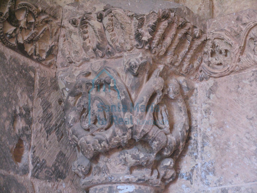Capitel derecho de la portada meridional, decorado con una pareja de estilizados grifos que oponen sus cuerpos mientras entrelazan sus picos Capitel derecho de la portada meridional, decorado con una pareja de estilizados grifos que oponen sus cuerpos mientras entrelazan sus picos