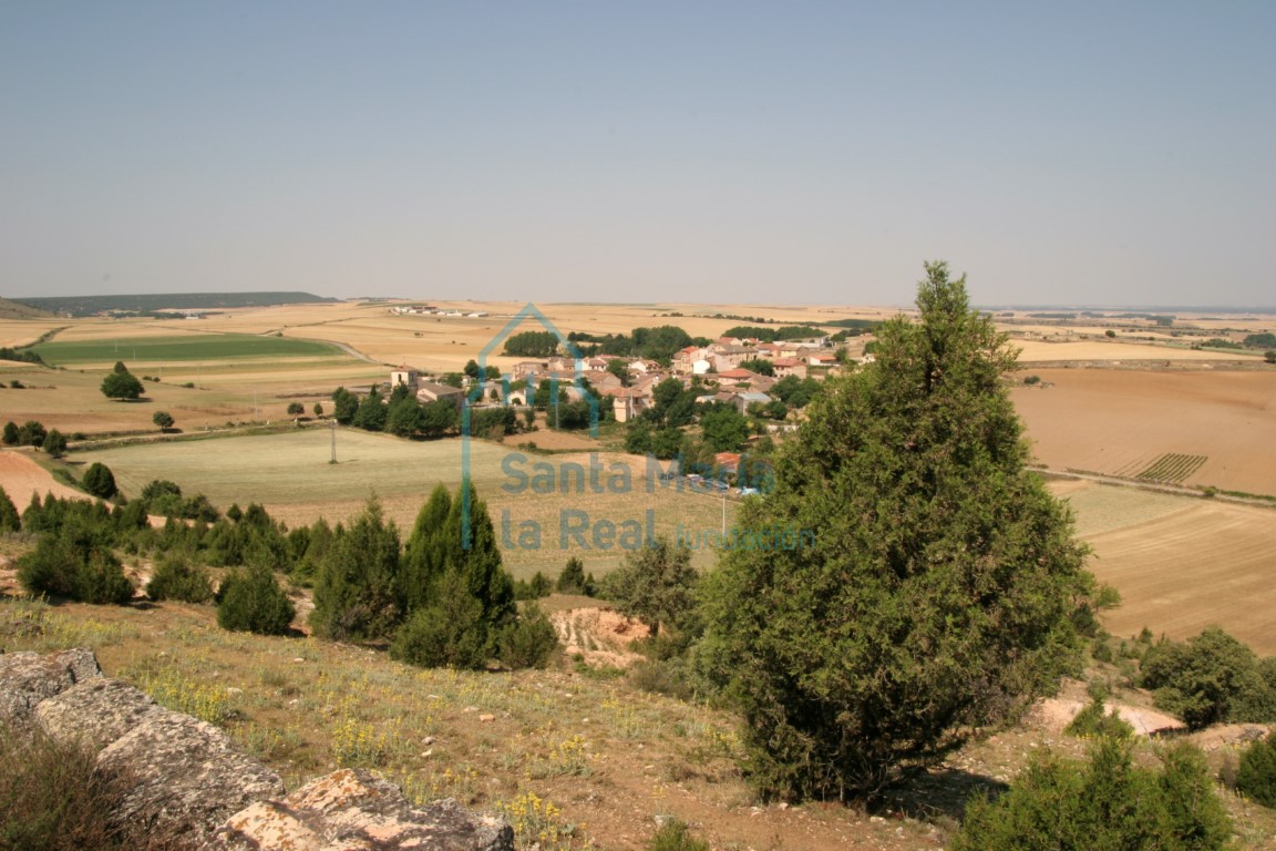 Panorámica