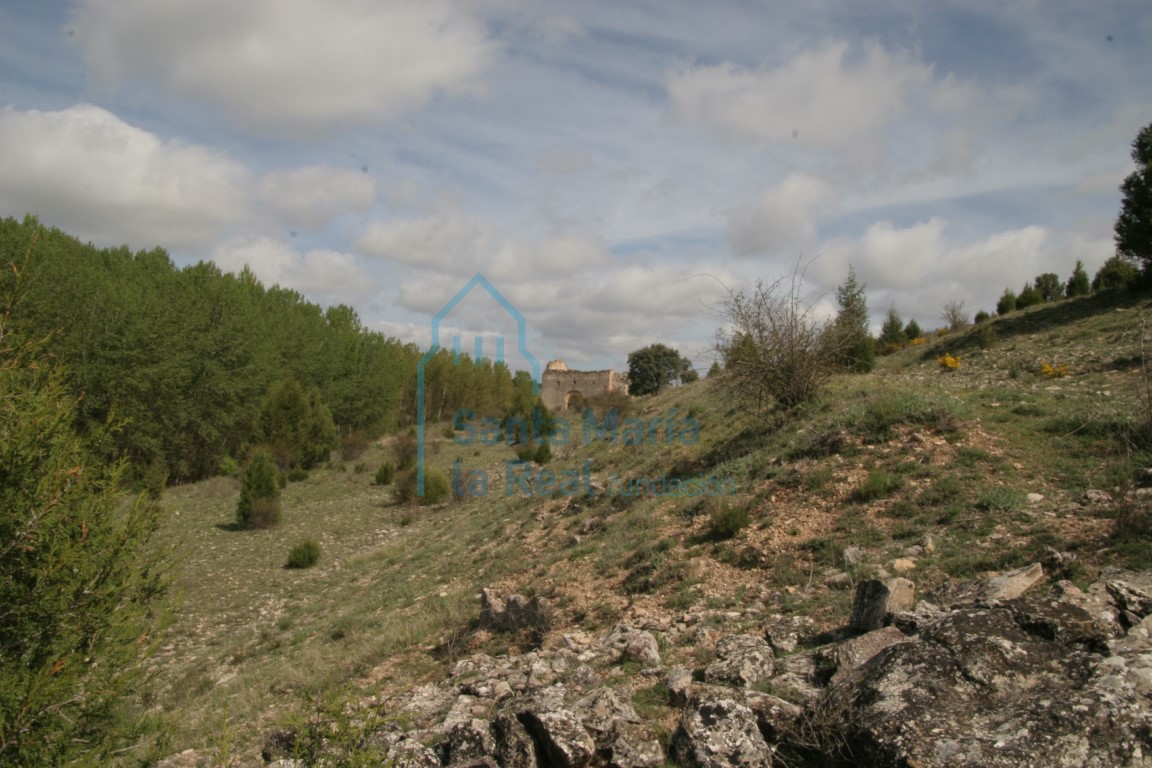 Vista panorámica de las ruinas