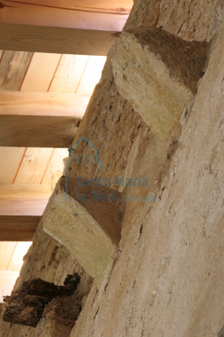 Canes de la fachada sur