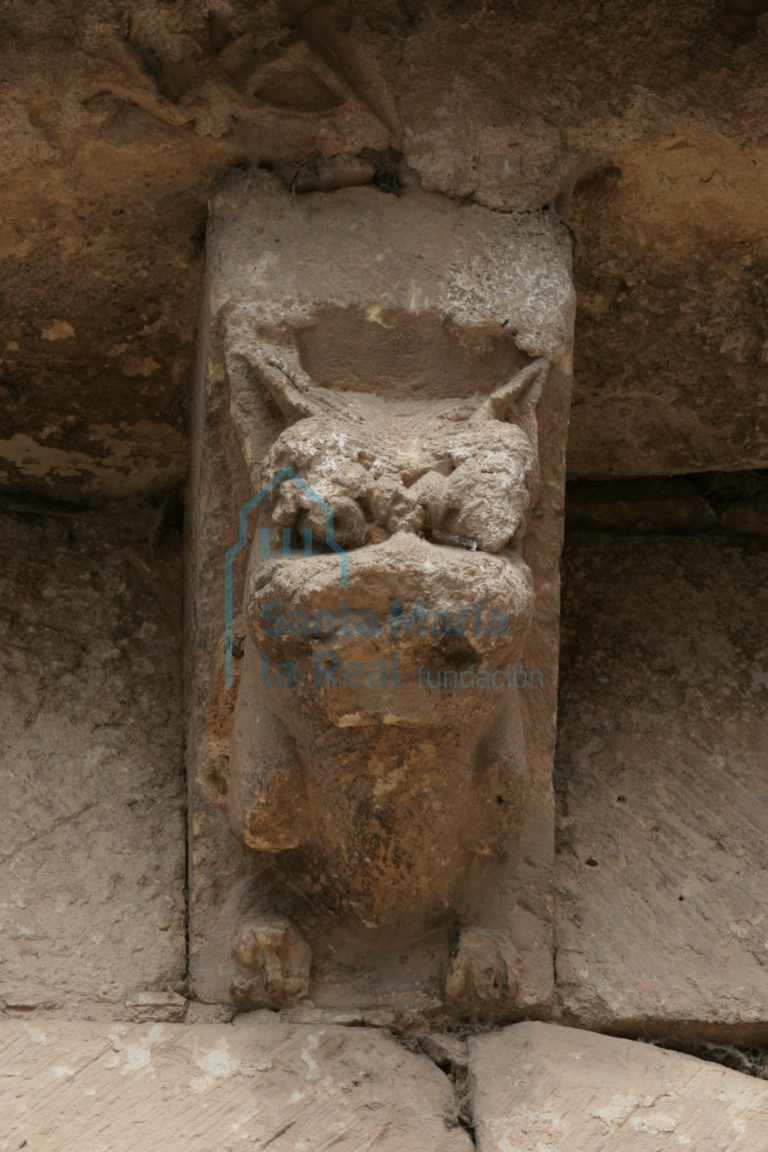 Canecillo de la cornisa de la galería porticada con decoración de prótomo de león