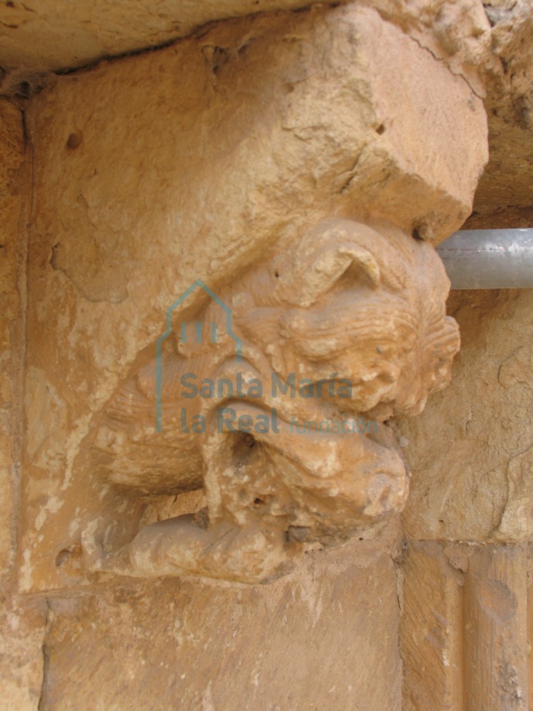 Vista lateral de un canecillo de la cornisa que representa un prótomo de felino que esta engullendo a un personajillo del cual sólo se ven la piernas