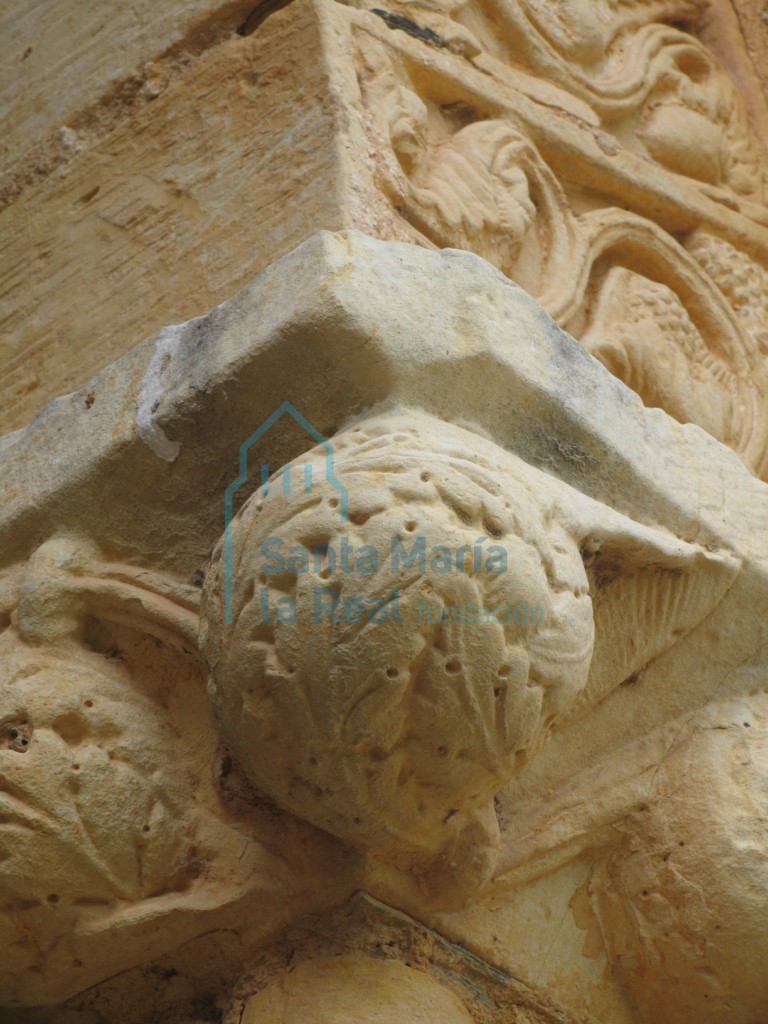 Detalle del cimacio del capitel de la portada meridional Detalle del cimacio del capitel de la portada meridional