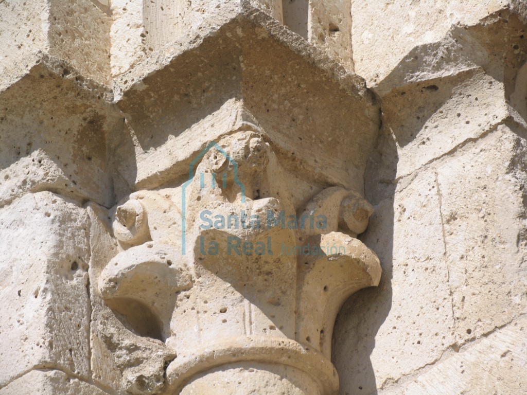 Capitel vegetal de la portada del occidental