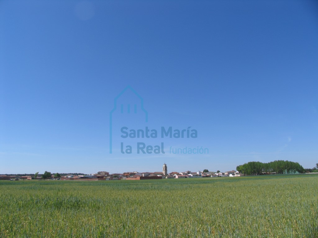 Panorámica general