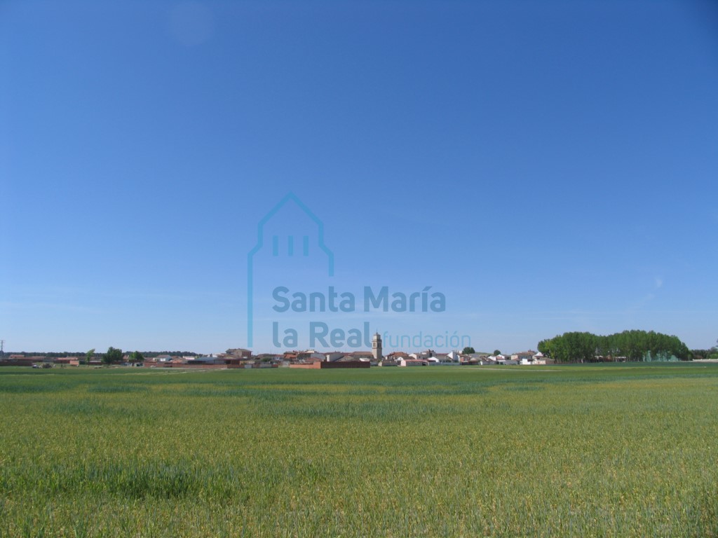 Panorámica general