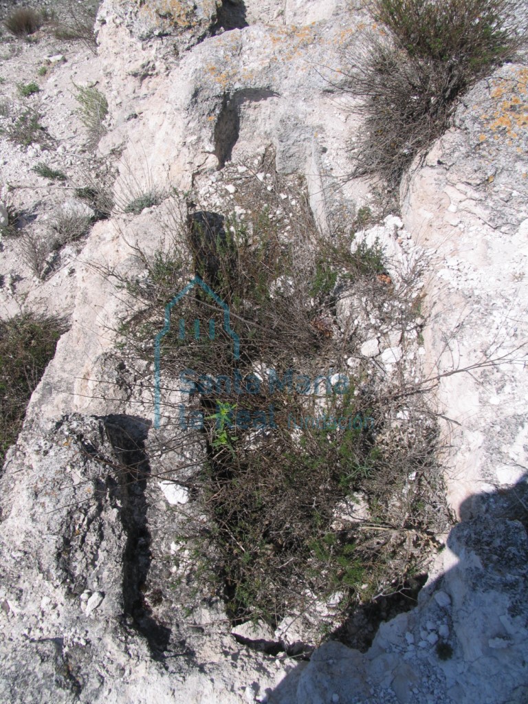 Tumba antropomorfa