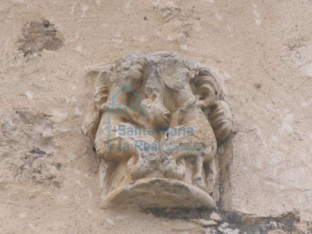 Arpías afrontadas en un capitel reutilizado del muro norte