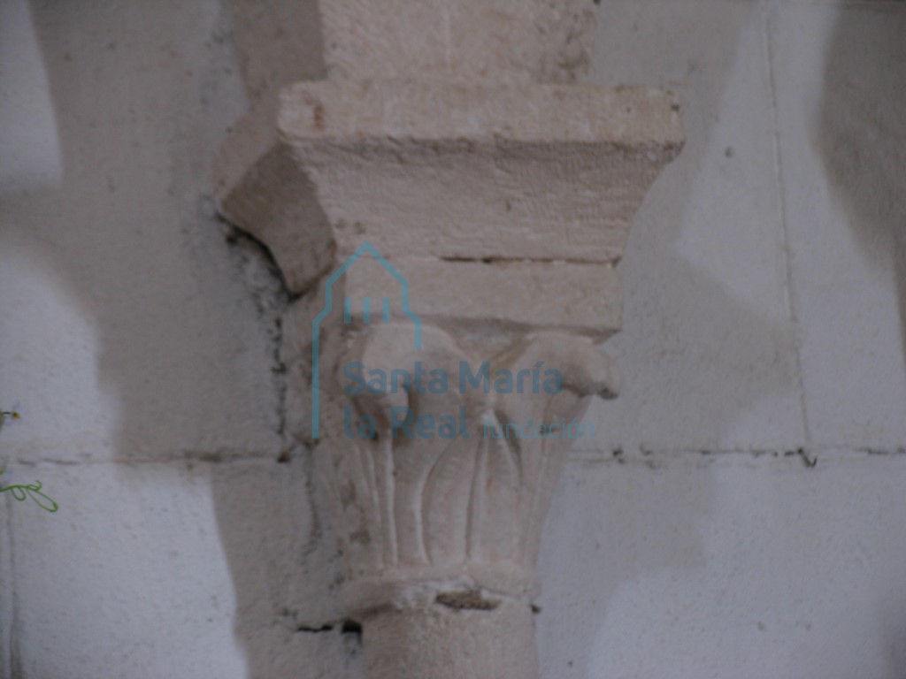 Capitel vegetal de la arquería del muro izquierdo del presbiterio