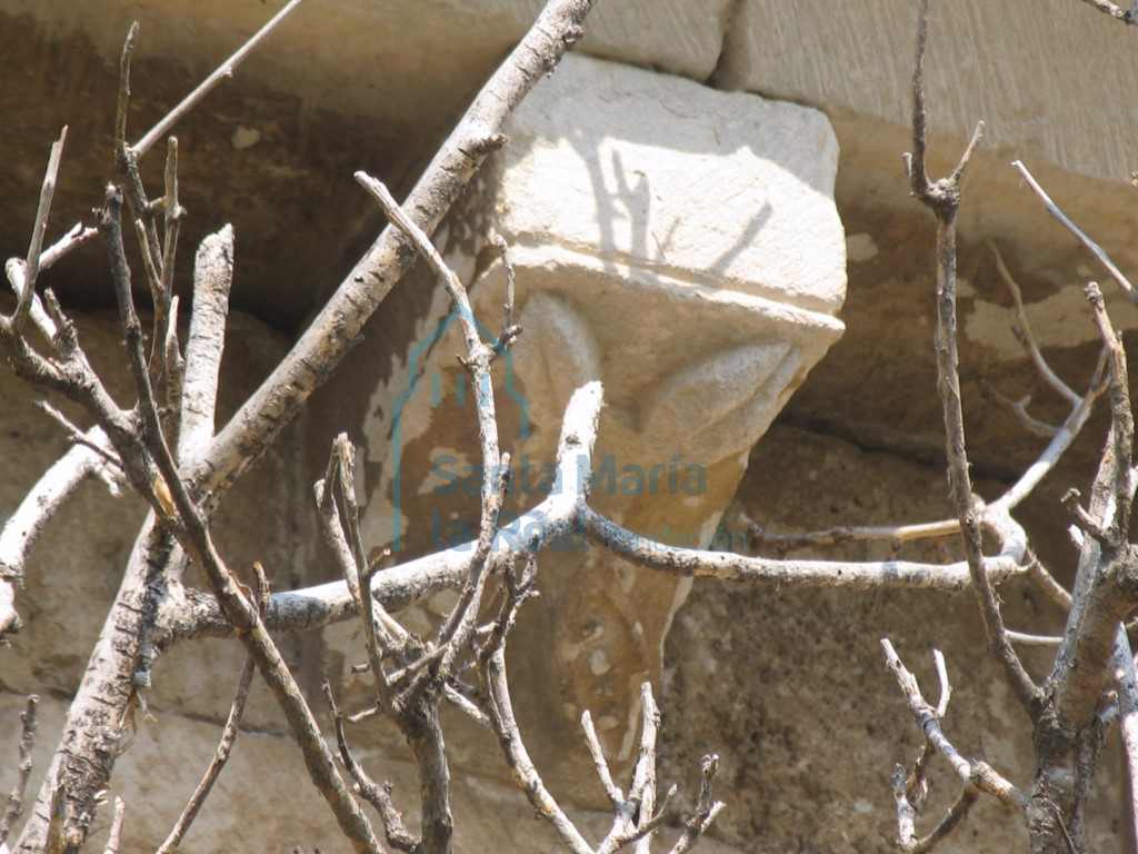 Canecillo del ábside