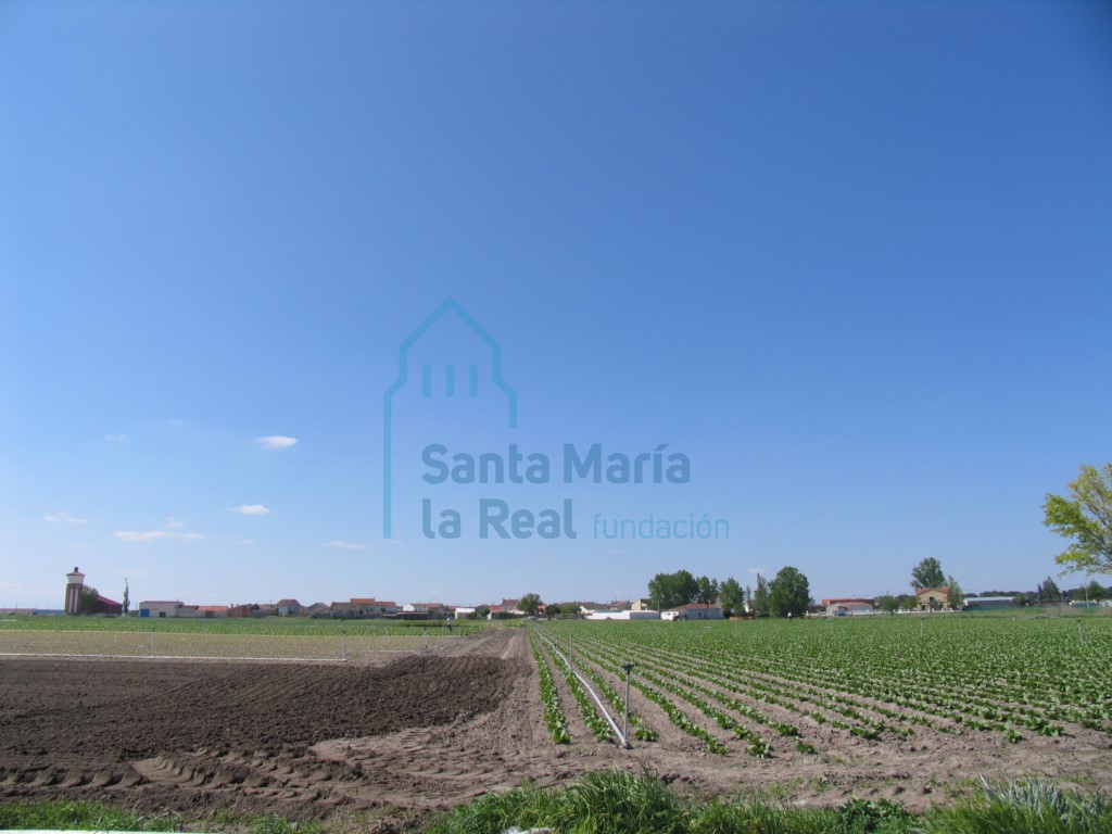 Vista panorámica de Chatún