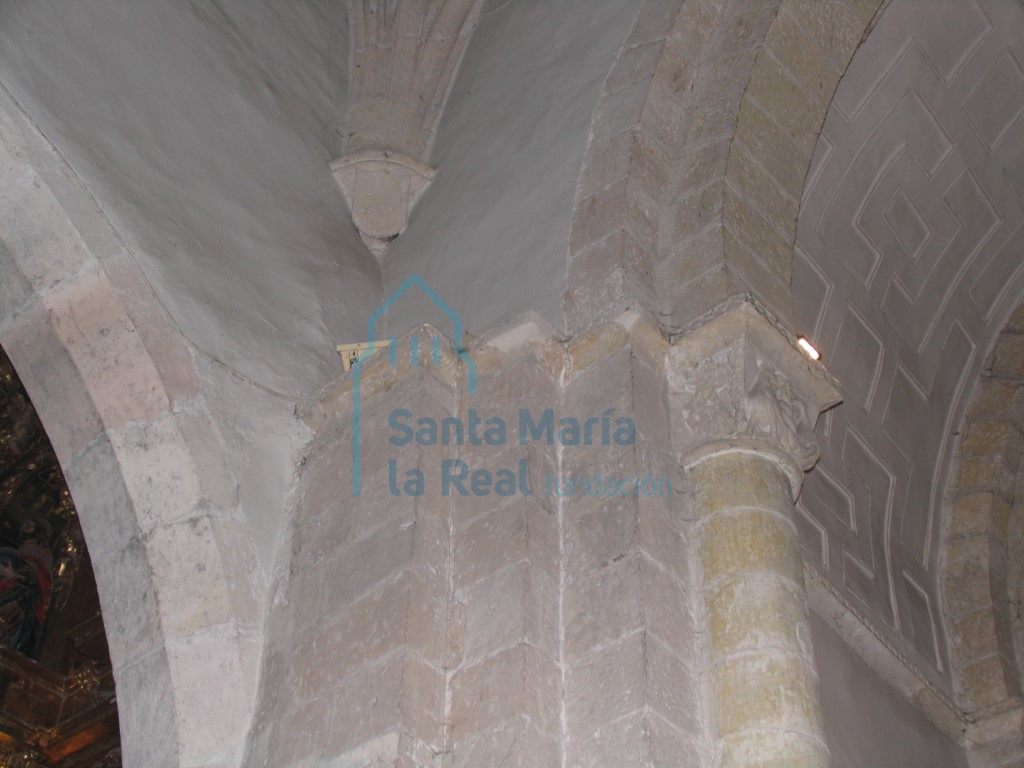 Apeos de la nave primitiva