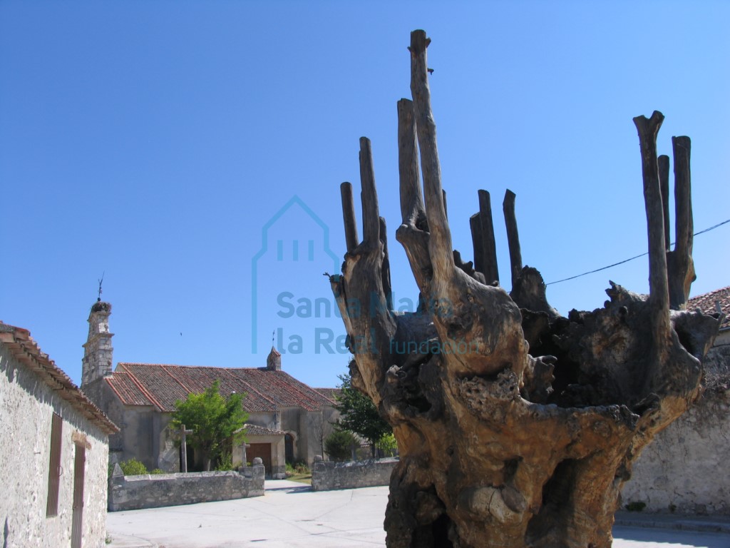 Vista de la iglesia desde el sur