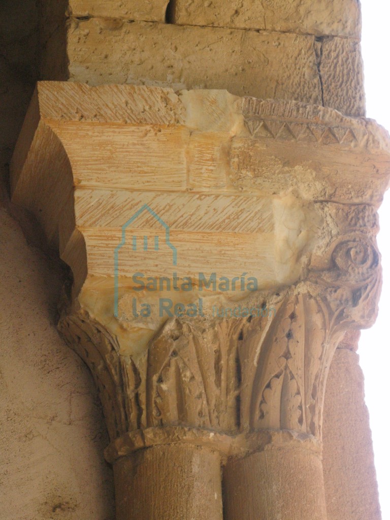 Capitel vegetal con hojas de acanto rematadas por volutas, del lado meridional del pórtico