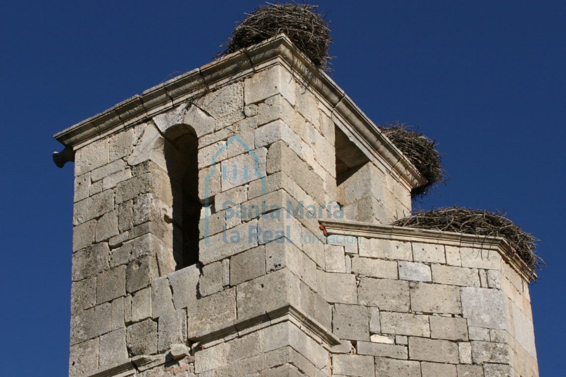 Torre