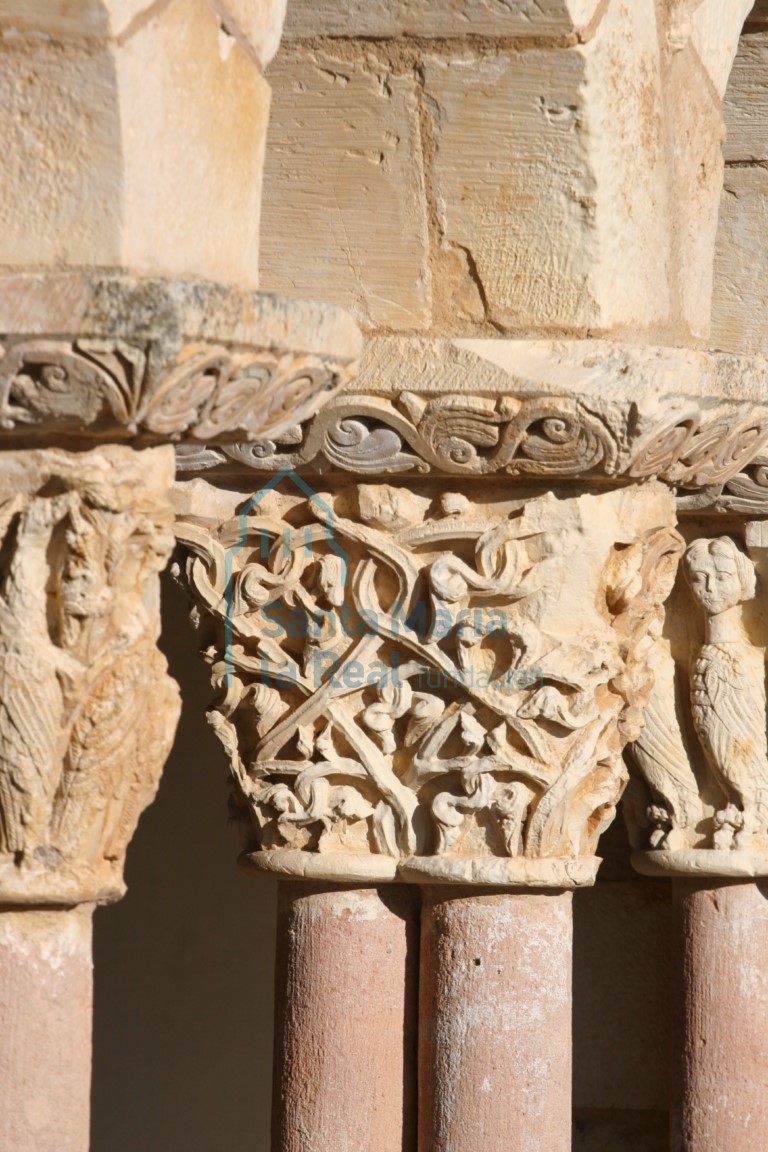 Pórtico. Capitel con una maraña de tallos entrelazados