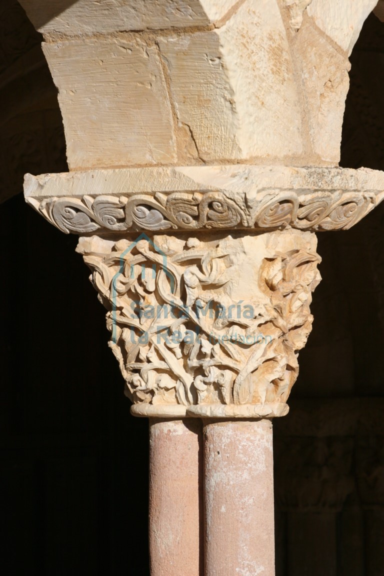 Pórtico. Capitel con una maraña de tallos entrelazados