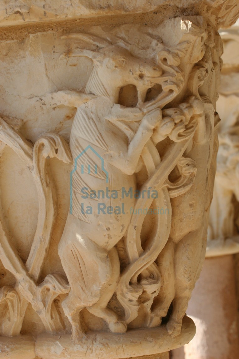 Pórtico. Detalle del capitel de los cabritillos rampantes