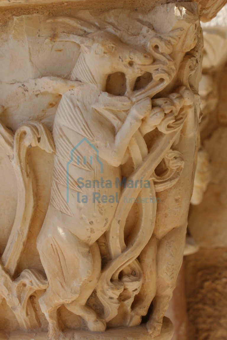 Pórtico. Detalle del capitel de los cabritillos rampantes