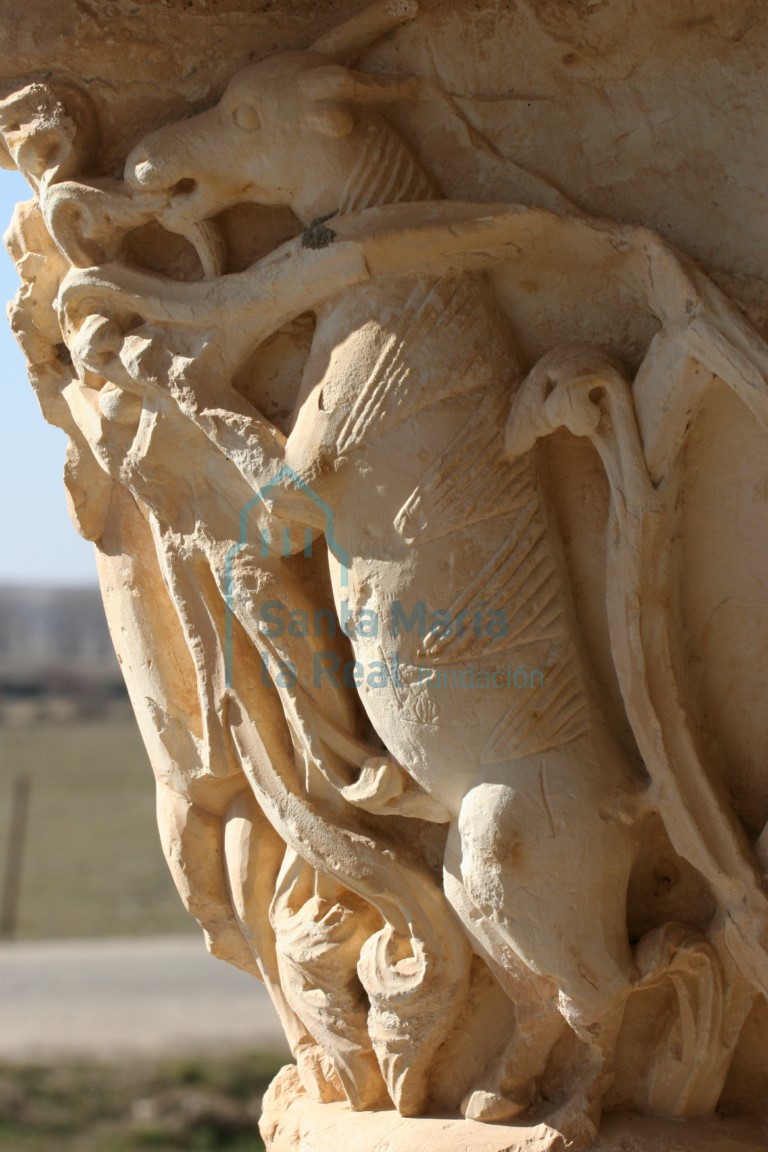 Pórtico. Detalle del capitel de los cabritillos rampantes