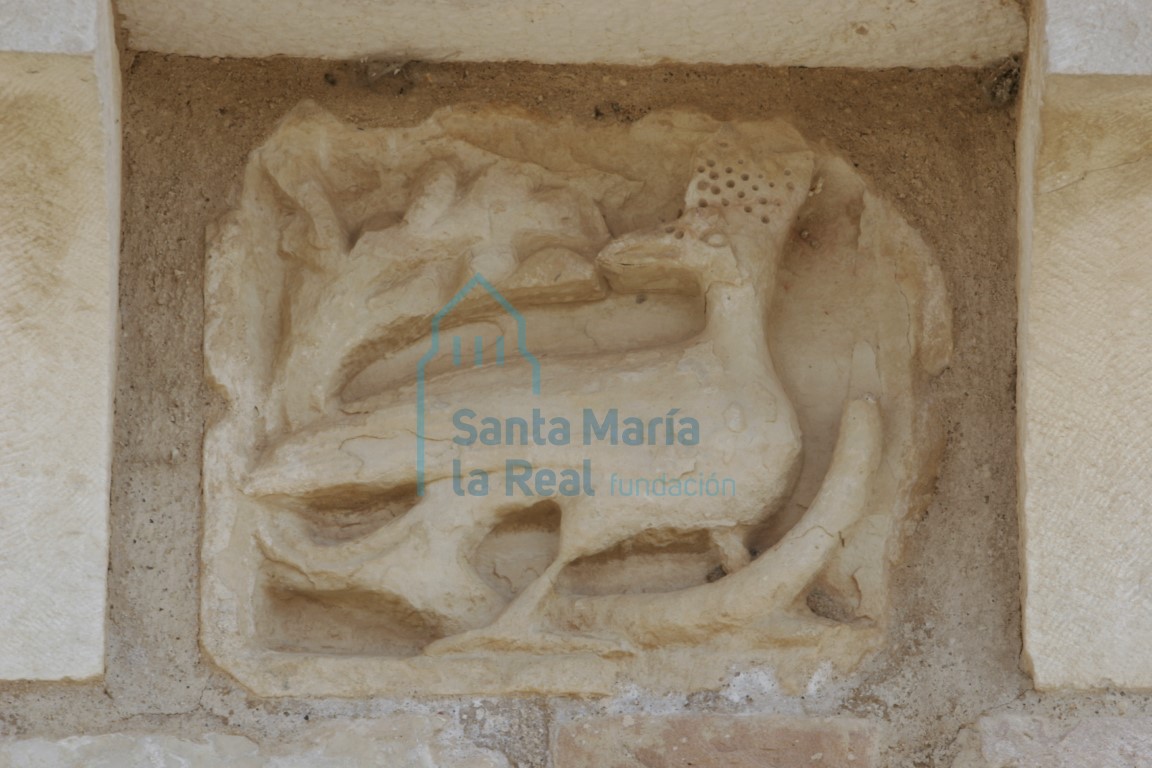 Metopas