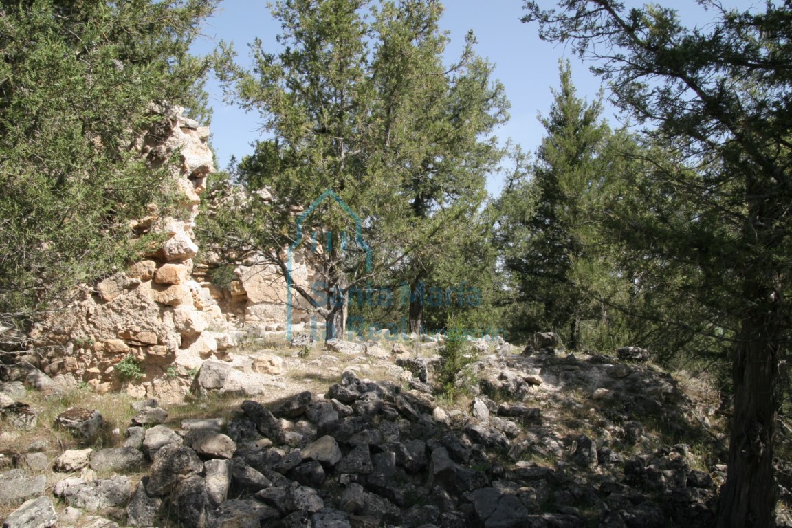 Ruinas de la ermita