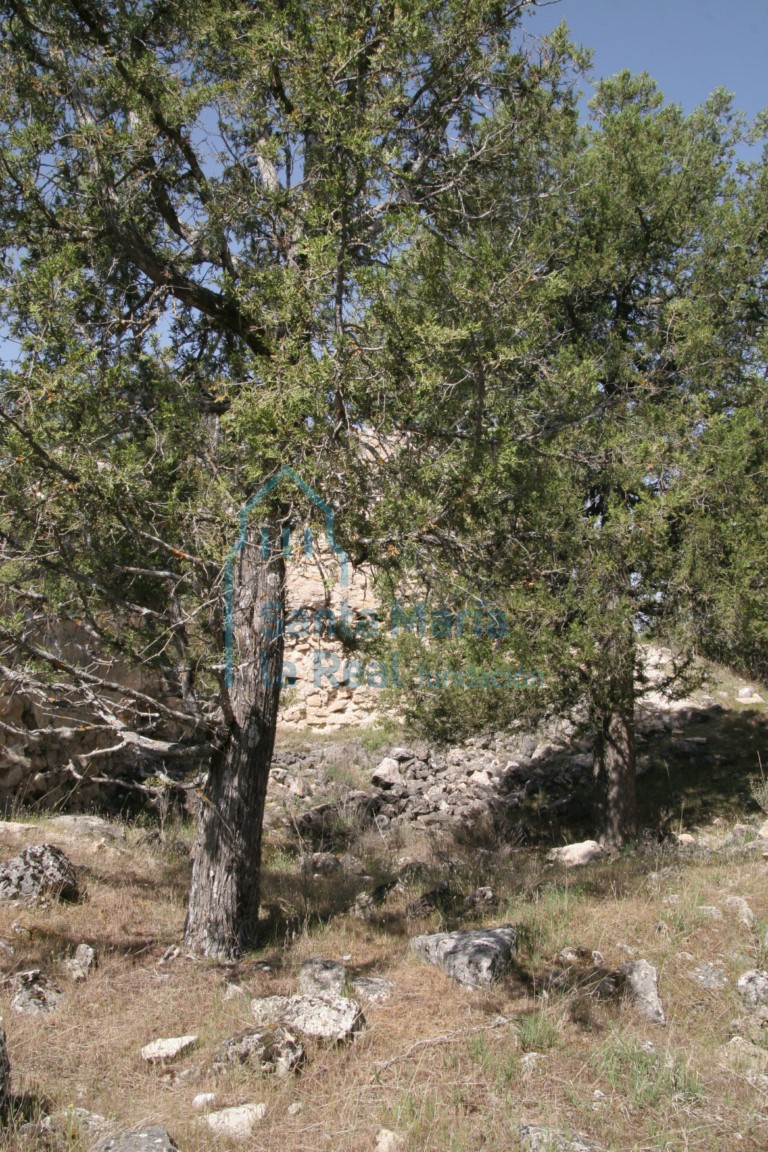 Ruinas de la ermita
