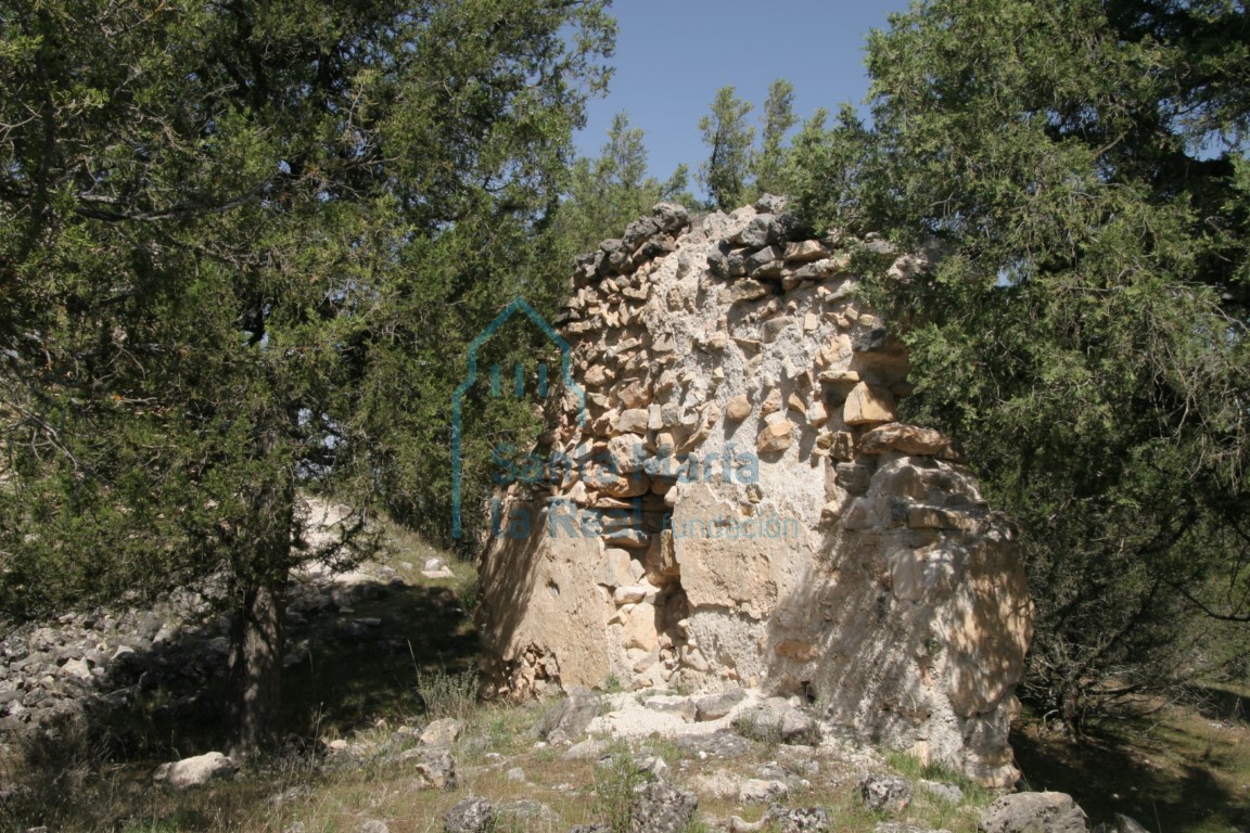 Restos de muro