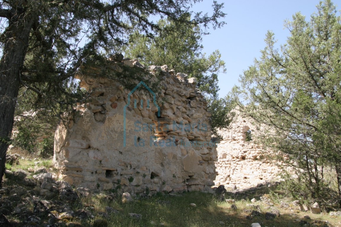 Restos del muro septentrional