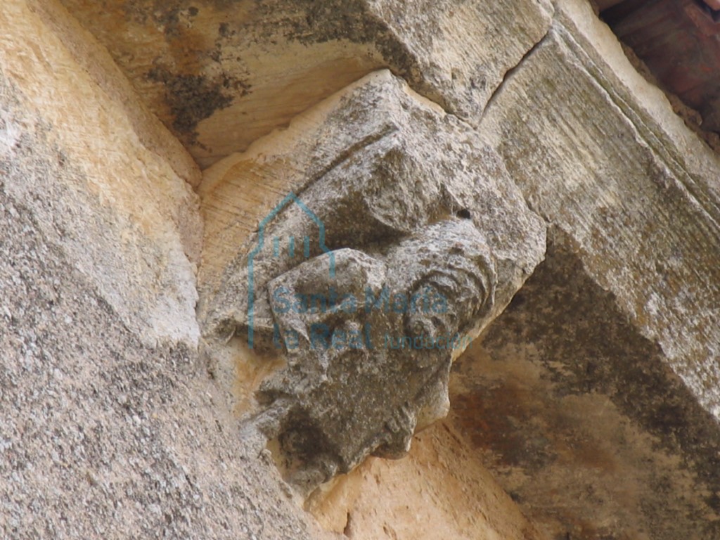Canecillo en la cornisa meridional