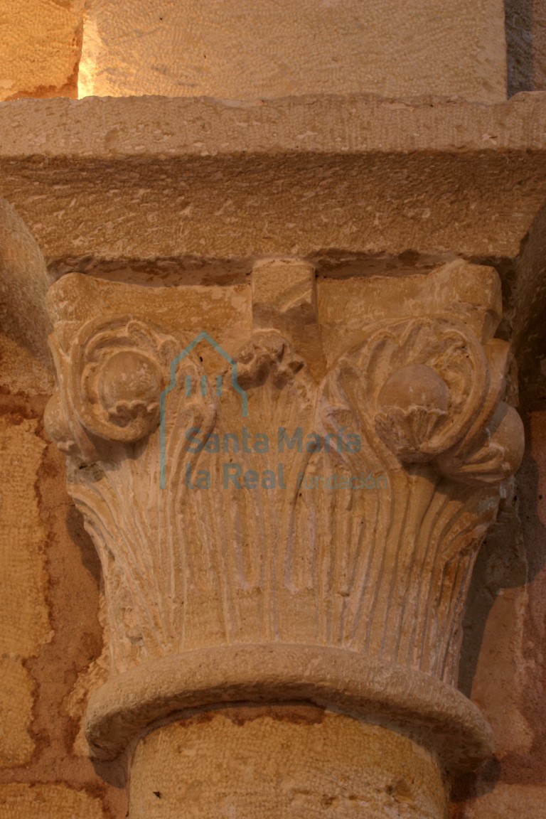 Capitel del lado de la epístola decorado con acantos de puntas incurvadas acogiendo granas y entre ellos estilizadas palmetas, coronándose con cimacio de nacela