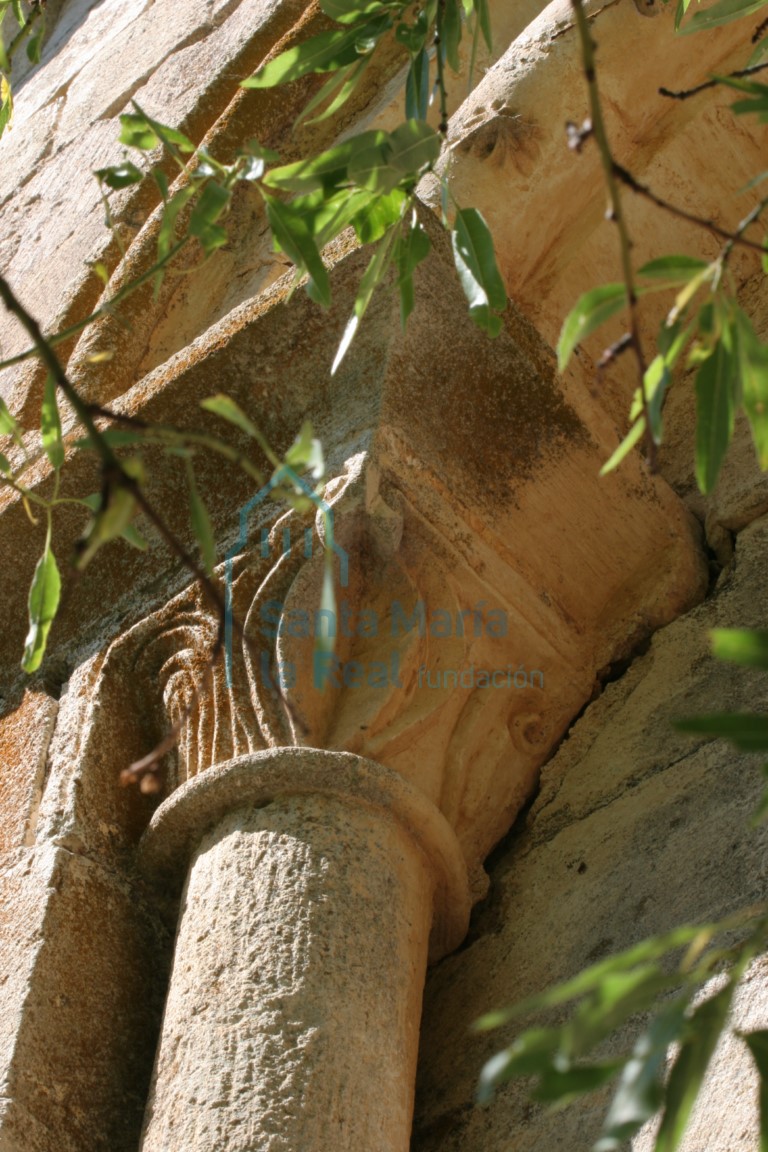 Capitel de la ventana absidal, con decoración vegetal de grandes hojas cóncavas con caulículos en las puntas