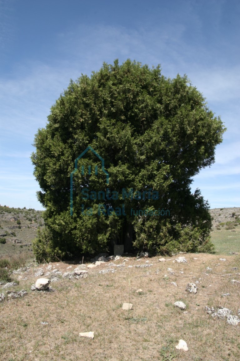 Elementos de la ermita descontextualizados en los alrededores