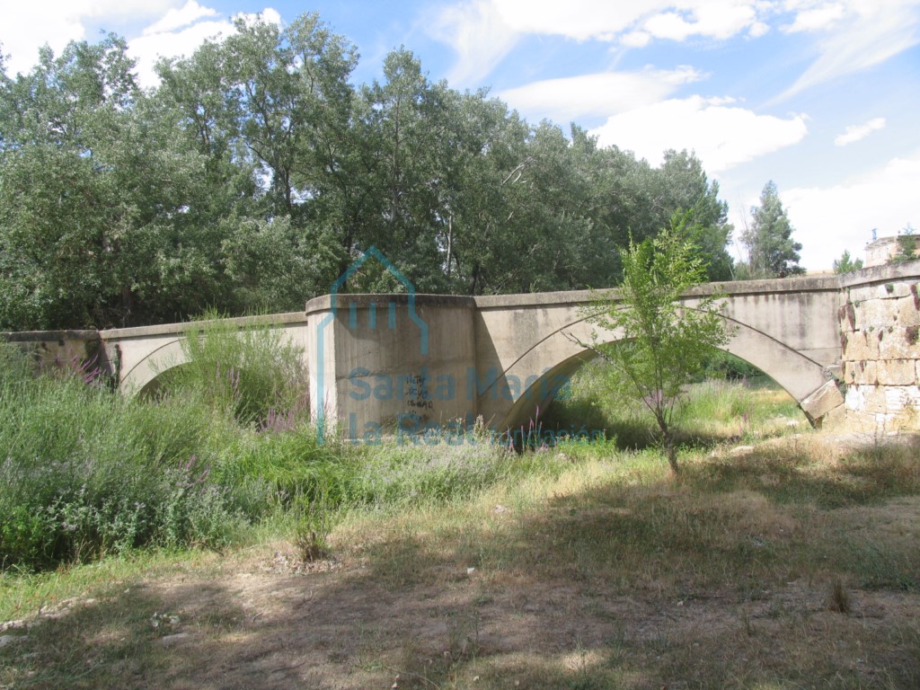 Vista del puente